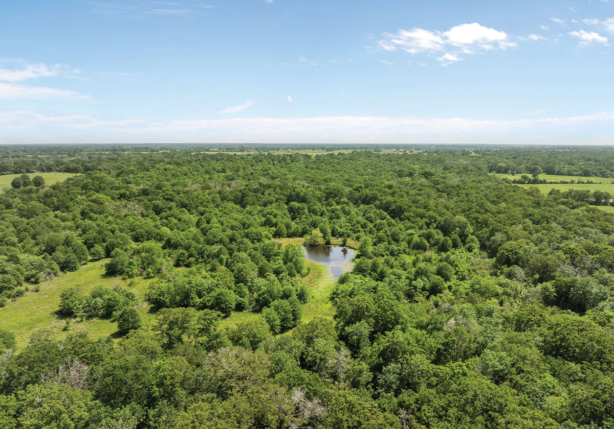 Caney Creek Ranch | +/- 200 AC in Madison County, Texas | Oldham ...