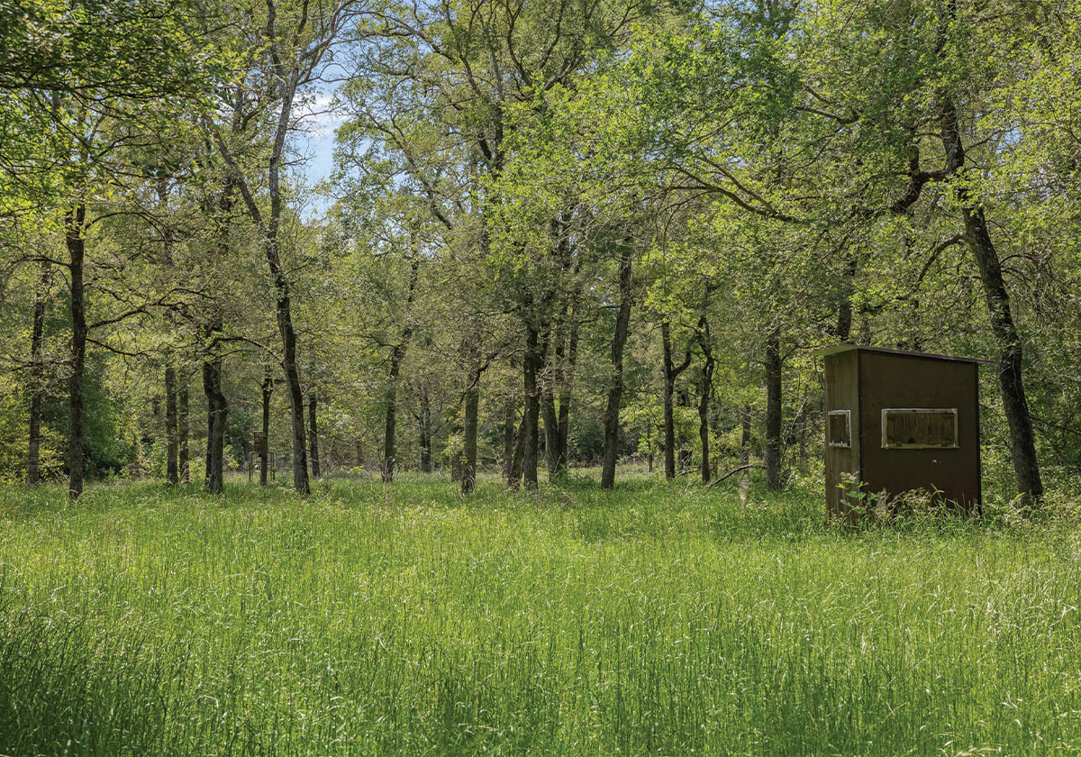 Caney Creek Ranch | +/- 200 AC in Madison County, Texas | Oldham ...