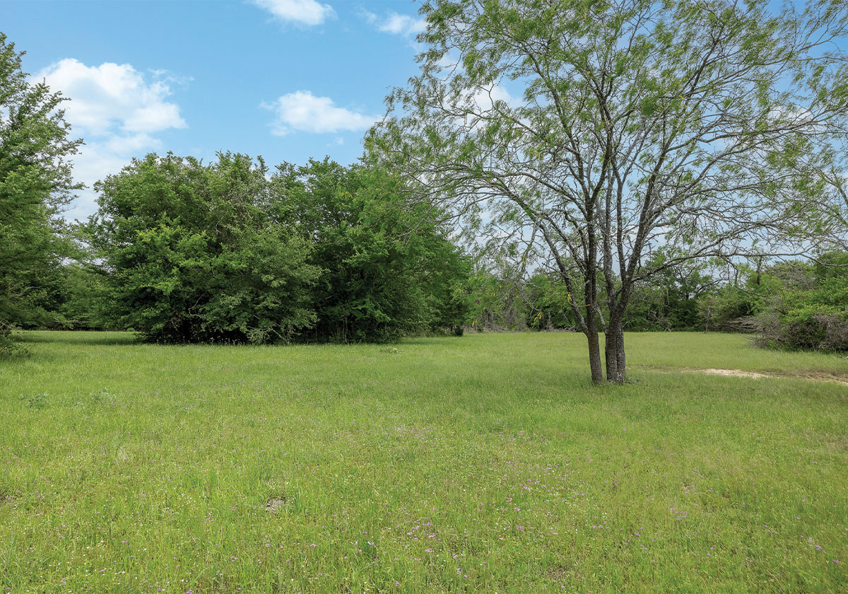 South Walnut Ranch | ~1600 AC Ranch in Robertson County, Texas | Oldham ...