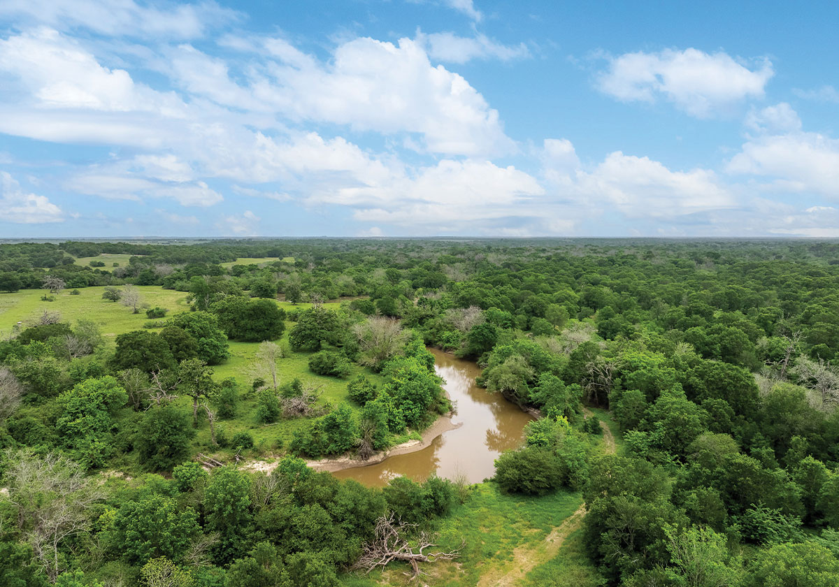 Sulphur Springs Ranch | +/- 265 AC College Station, Texas | Oldham ...