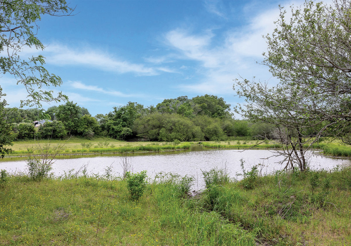 Sulphur Springs Ranch | +/- 265 AC College Station, Texas | Oldham ...